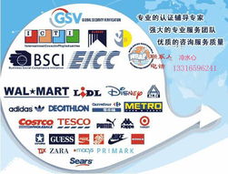 高效對接，精準匹配——專業商務信息咨詢服務采購指南